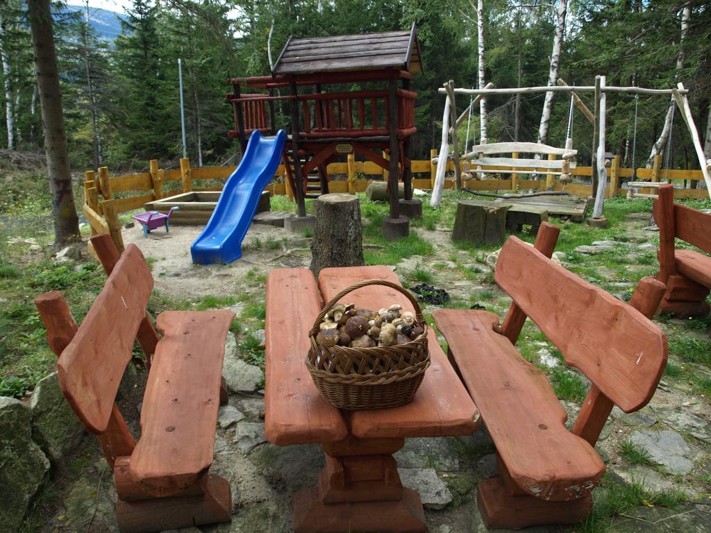 Bed & Breakfast Widok - Bike