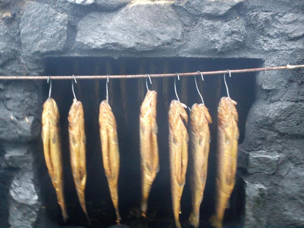 Bed & Breakfast Widok - Bike 2*