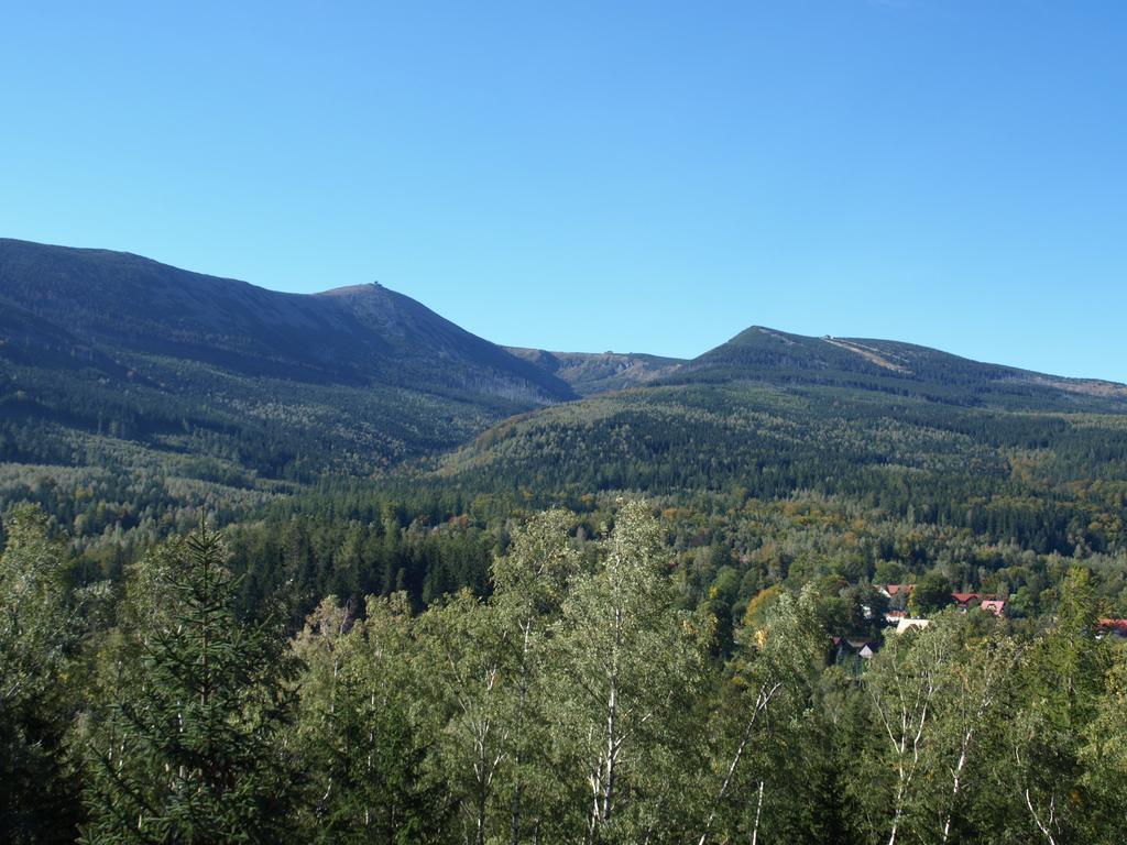 Widok - Bike 2*